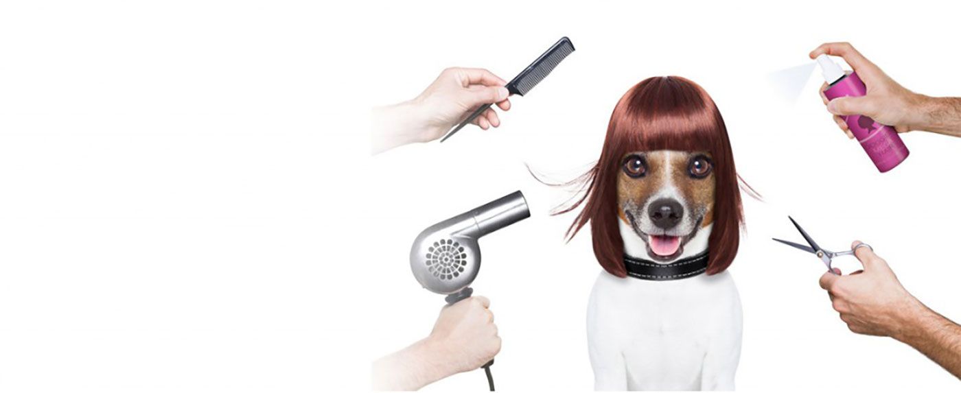 Il Centro Benessere del tuo amico a 4 zampe!