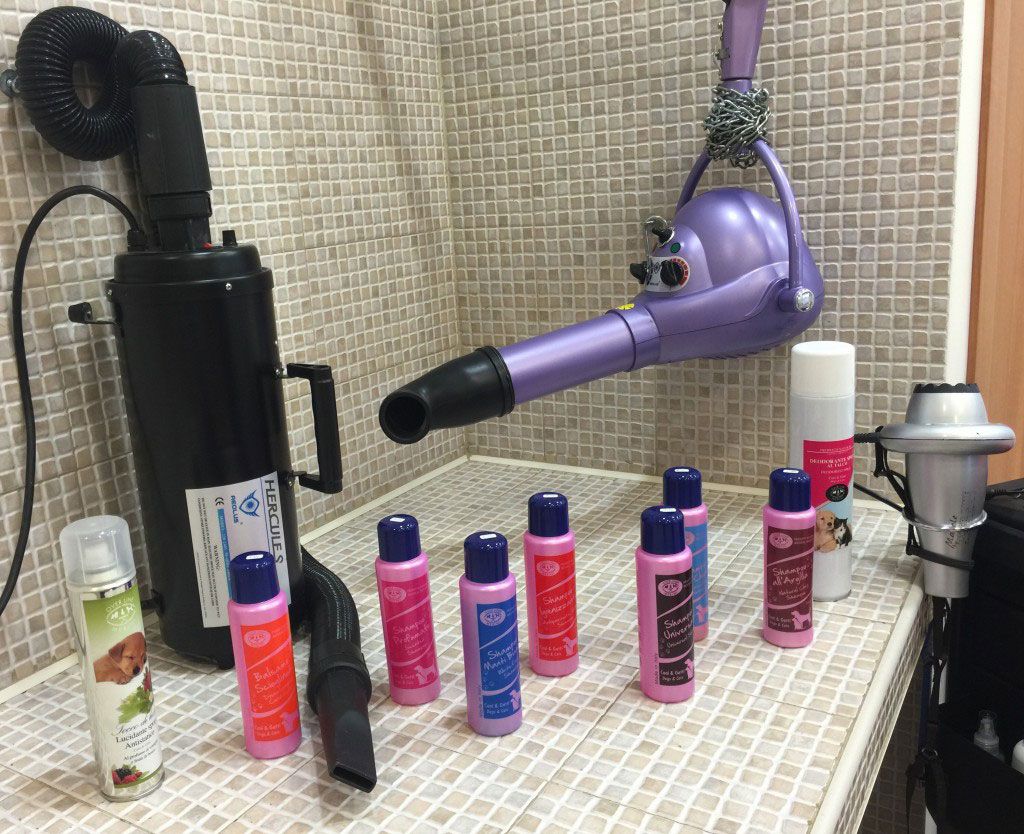 Toelettatura Moderna Roma Est