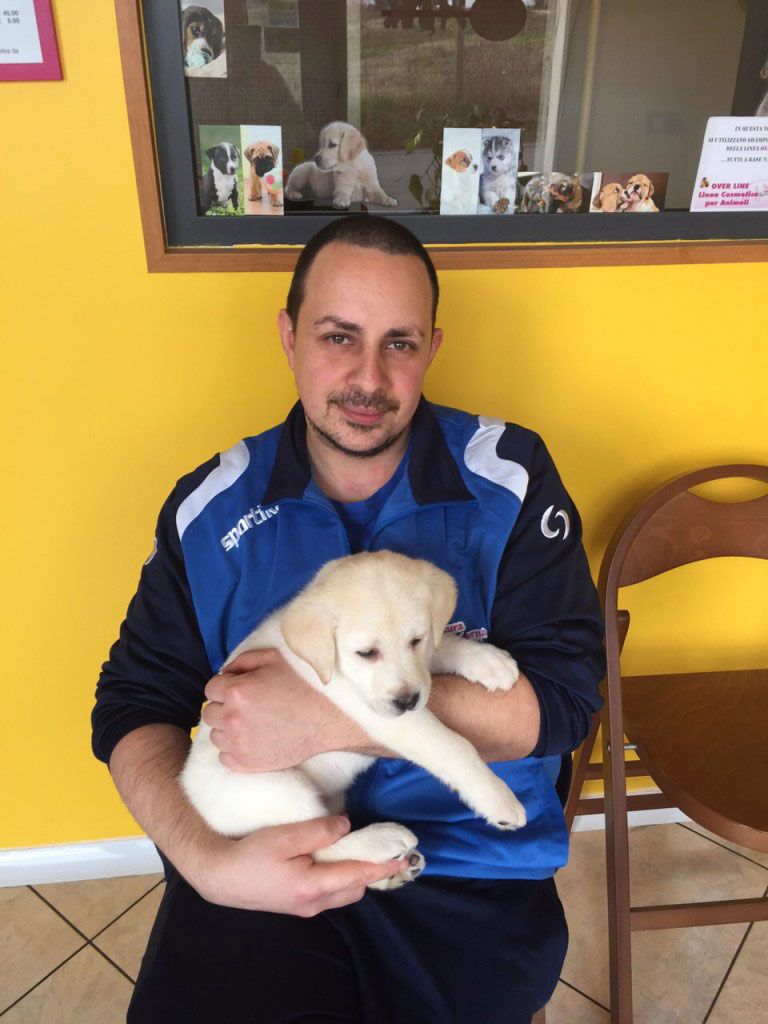 Toelettatura Moderna Roma Est