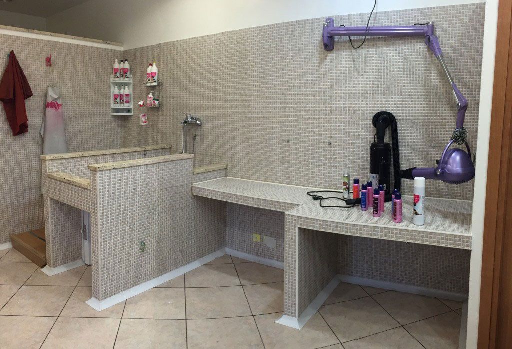 Toelettatura Moderna Roma Est