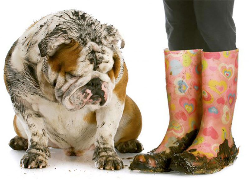 Tempo di una doccetta?