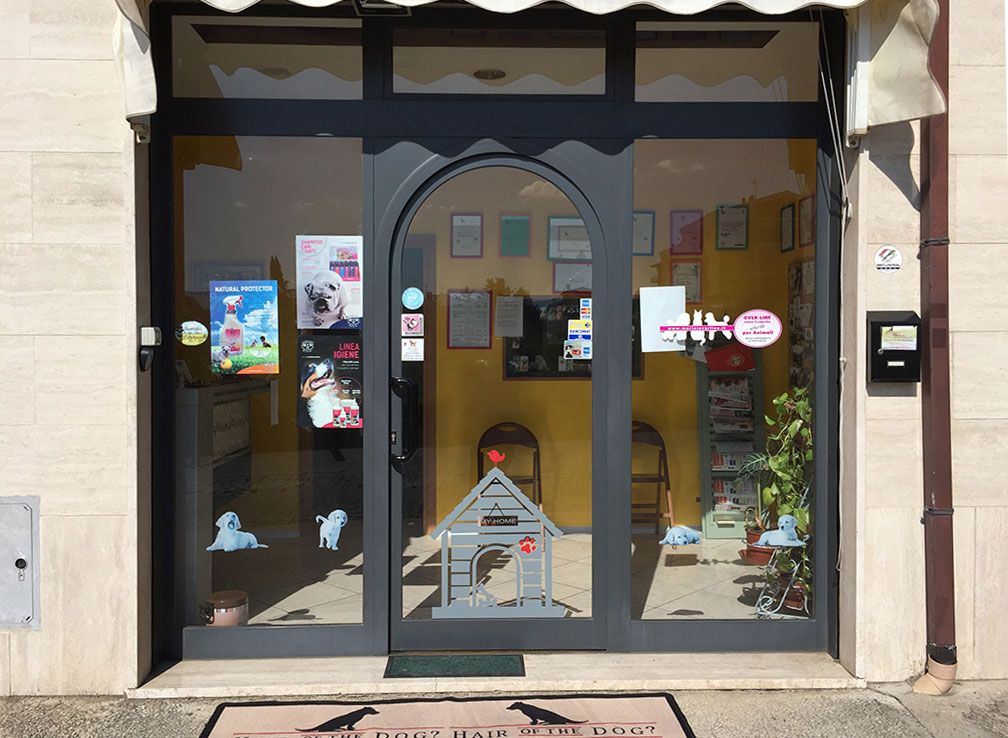 Toelettatura Moderna Roma Est