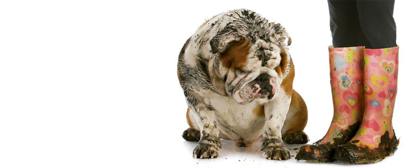 Tempo di una doccetta?